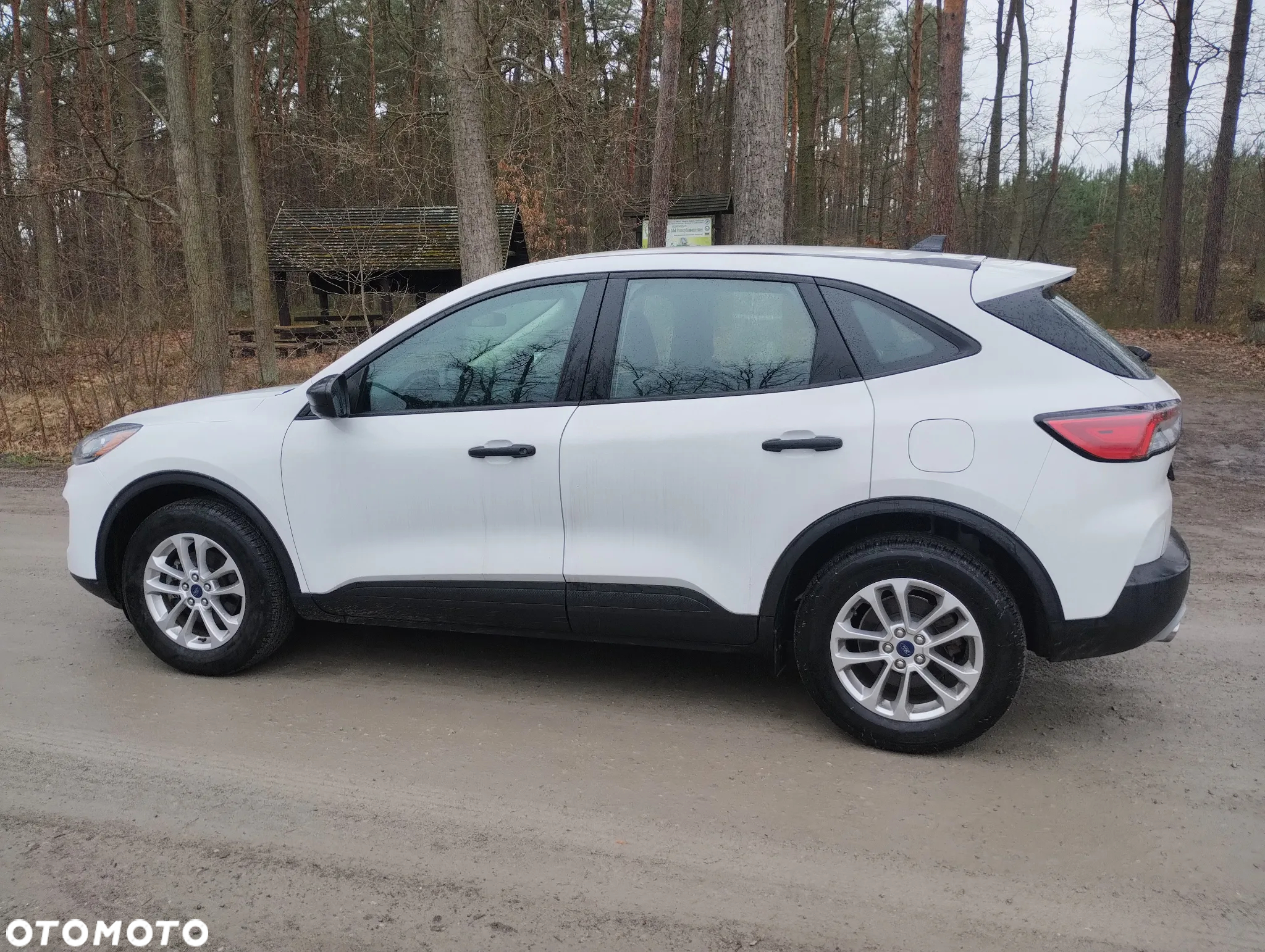 Ford Escape - 6