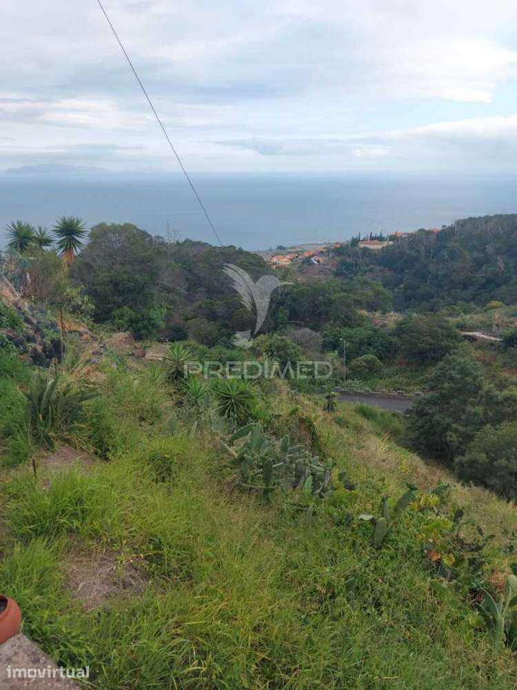 Terreno rústico em  Água de  pena . - Grande imagem: 5/7