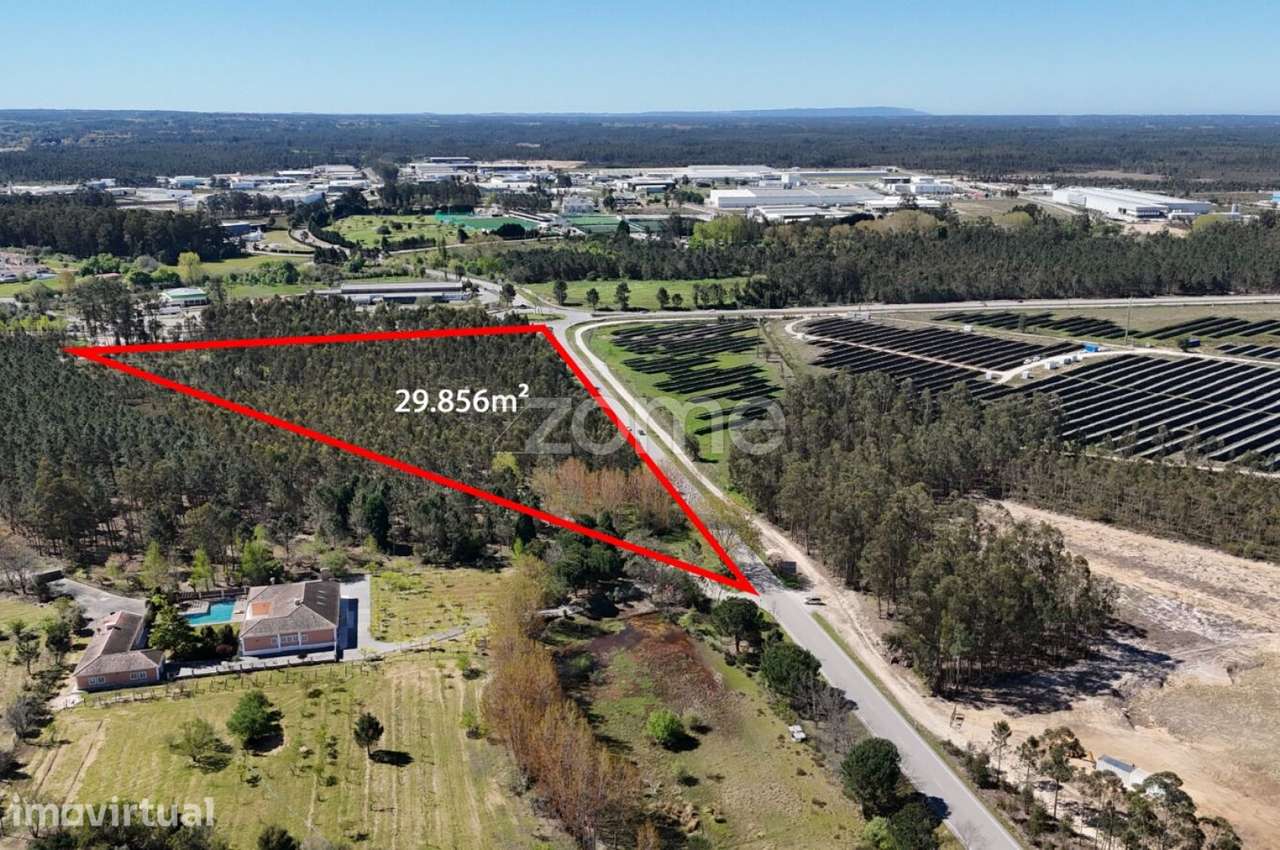 Oportunidade em Cantanhede: 3 Hectares de Potencial Ilimitado! - Grande imagem: 4/15