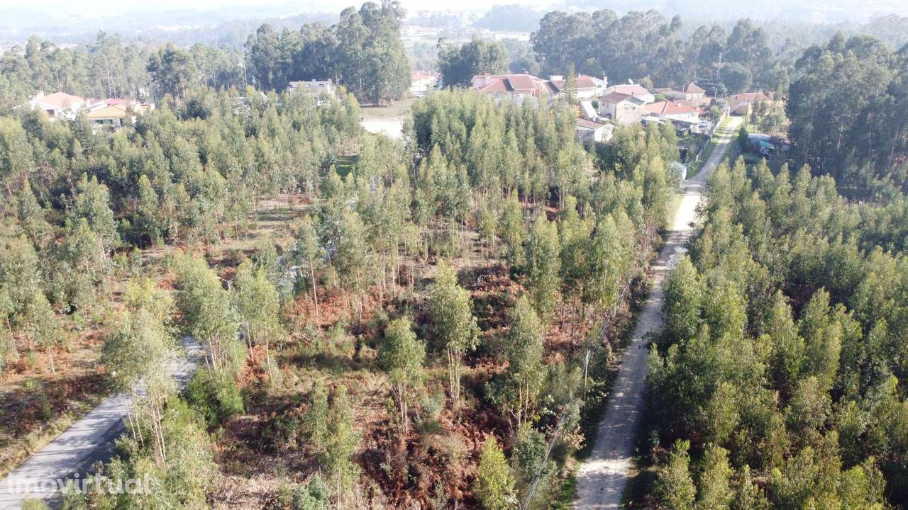 Terreno com 4.160m2 - Guisande - Grande imagem: 5/14