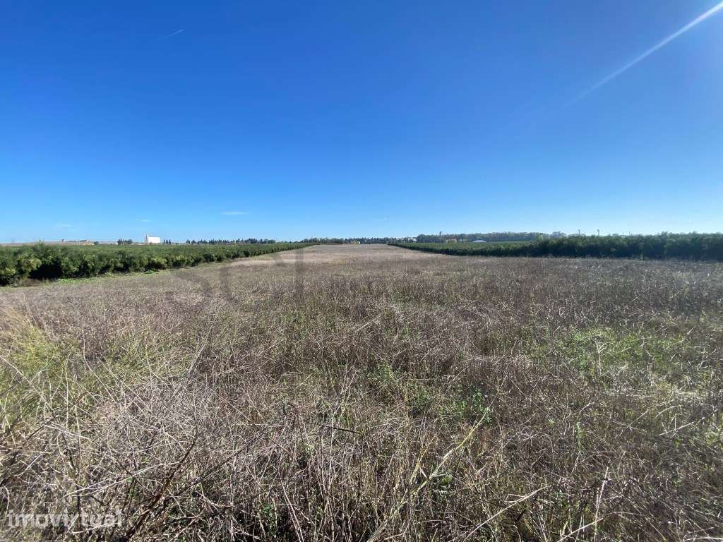 Terreno Rustico de terra limpa, nas imediações da cidade de Beja - Grande imagem: 4/30