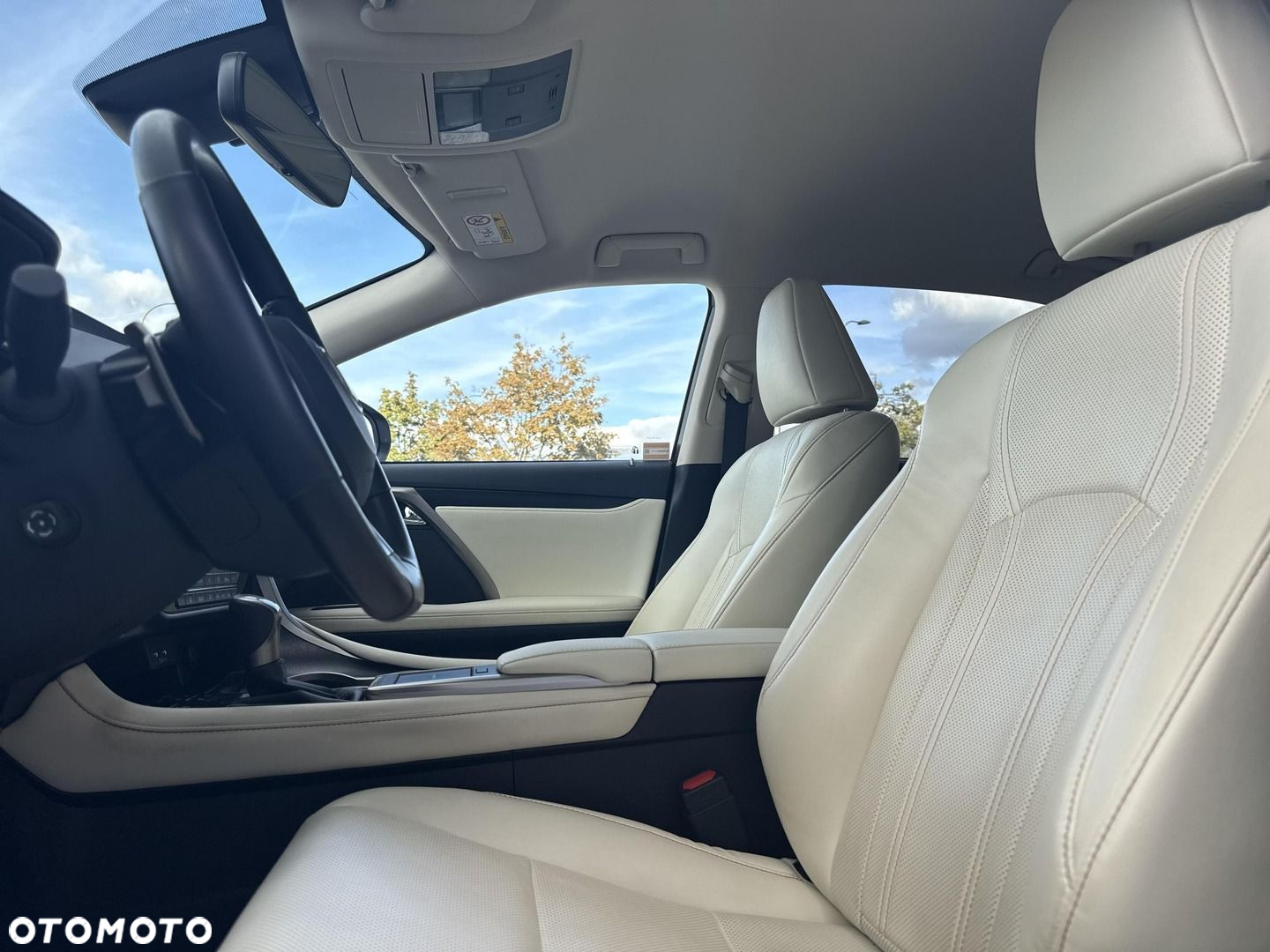 Lexus RX 450h F-Impression - 11
