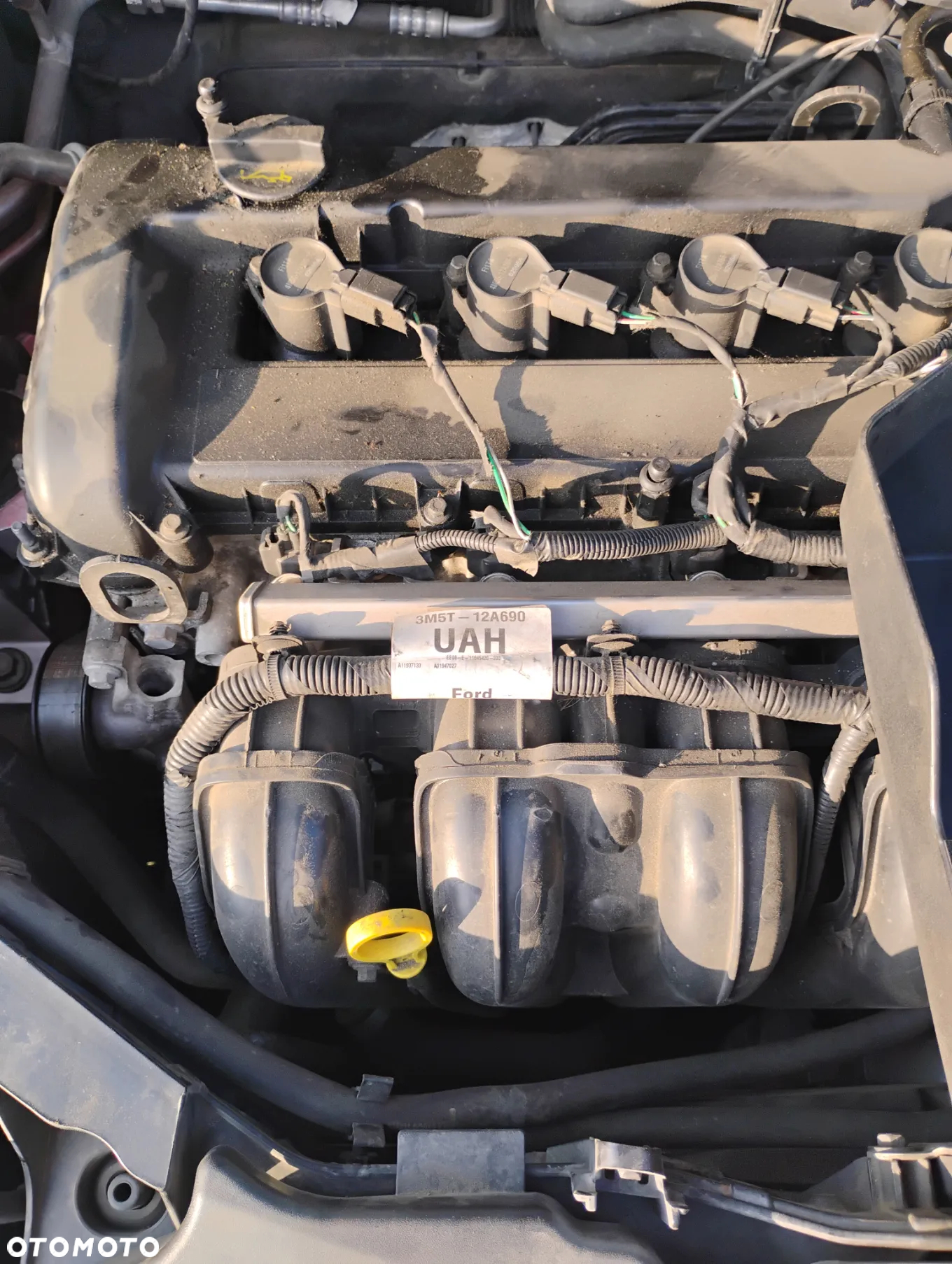 Ford Focus 2.0 Ghia - 11