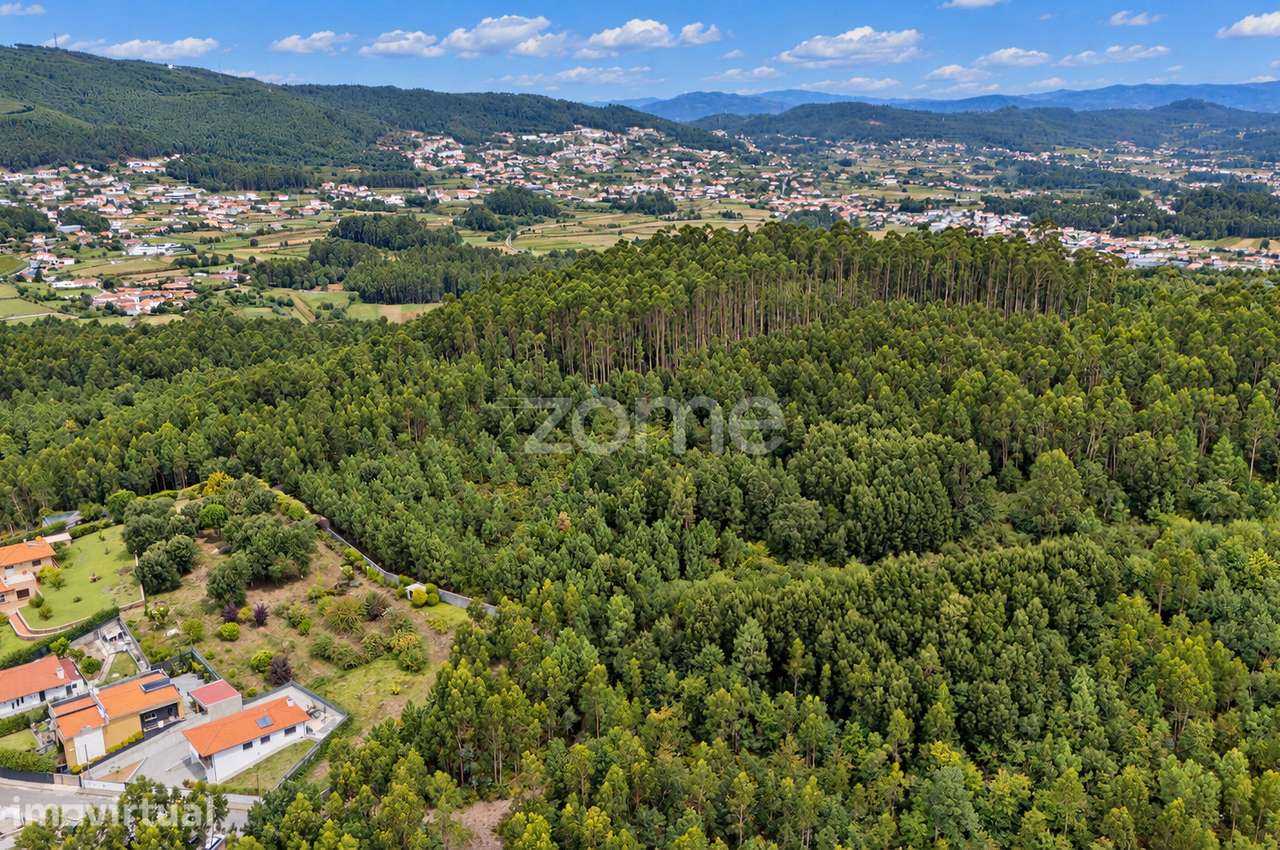 Terreno com Projeto para Habitação e Turismo - Barcelos - Grande imagem: 5/19