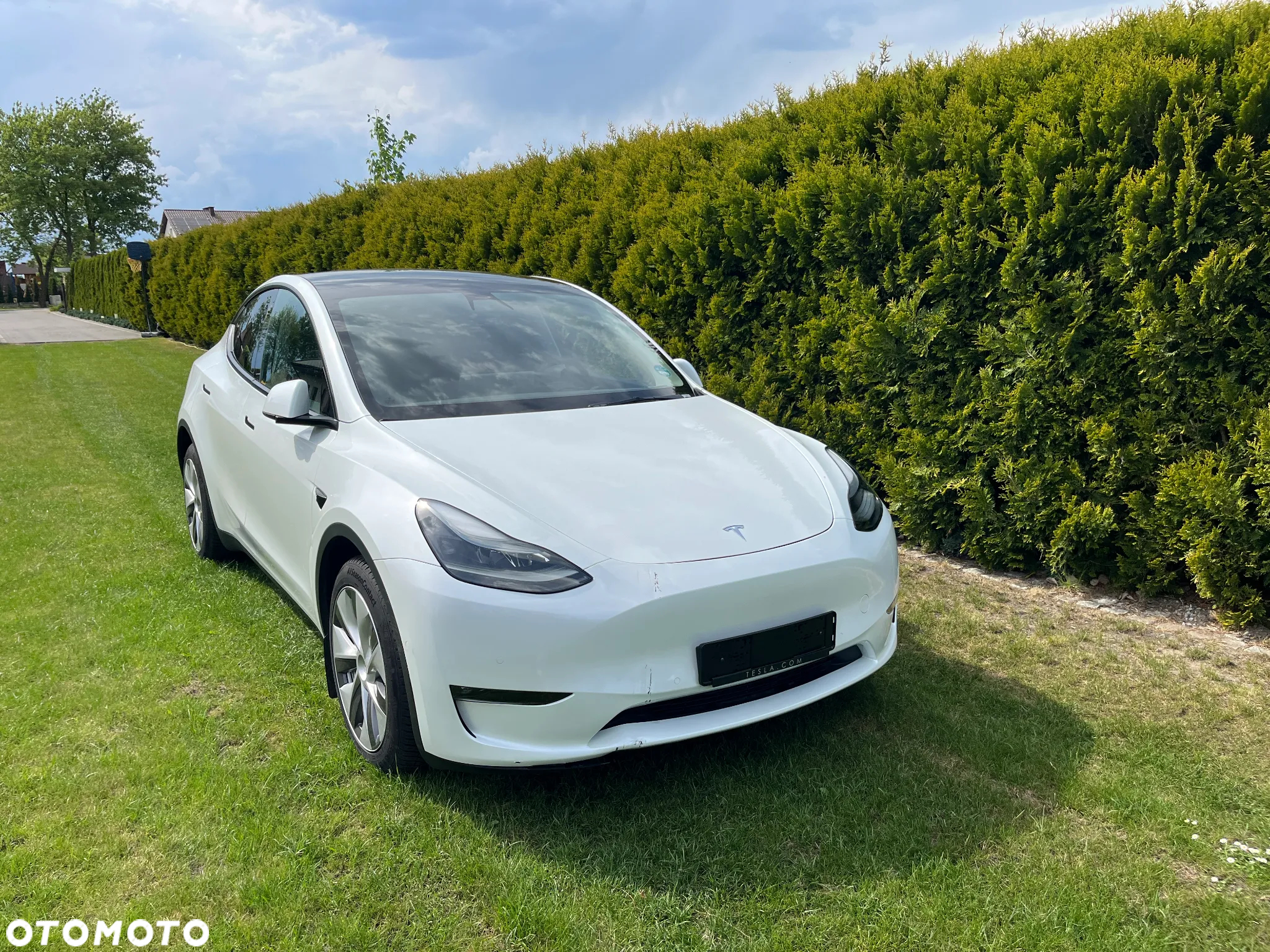 Tesla Y - 3