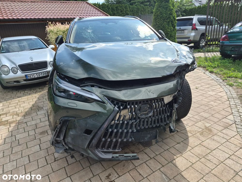 Lexus NX 350h Omotenashi AWD - 12