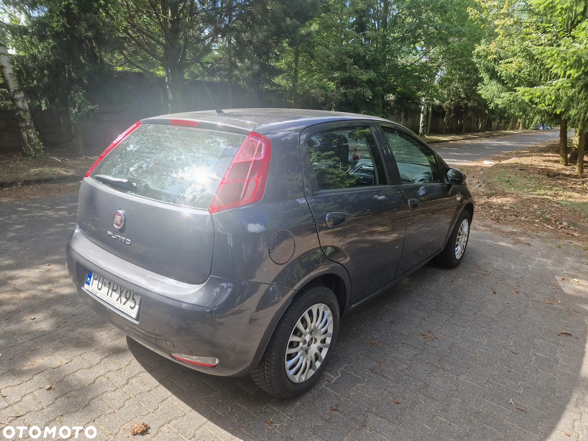 Fiat Punto 1.2 Easy - 2