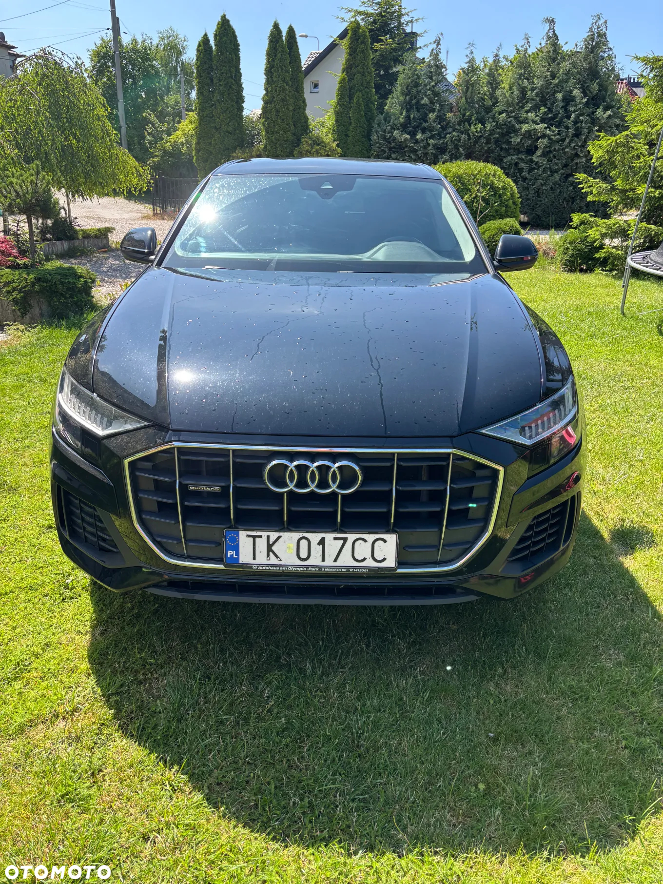 Audi Q8 - 2
