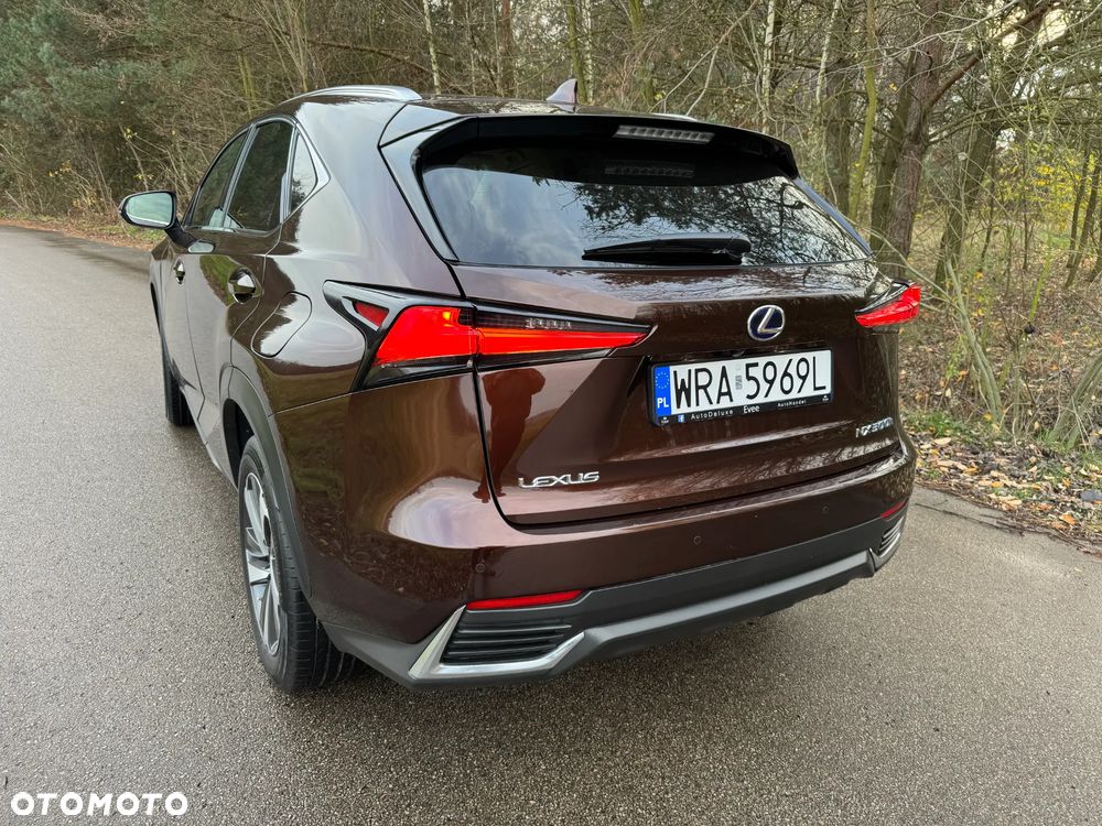 Lexus NX 300h F Impression AWD - 5