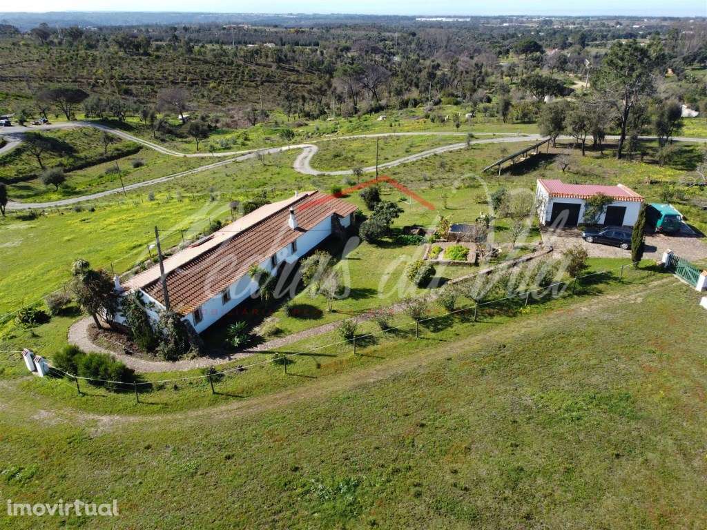 Quinta com 6,5ha em Vale Juncal - São Teotónio - Grande imagem: 2/60