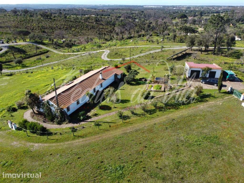 Quinta com 6,5ha em Vale Juncal - São Teotónio - Grande imagem: 2/60