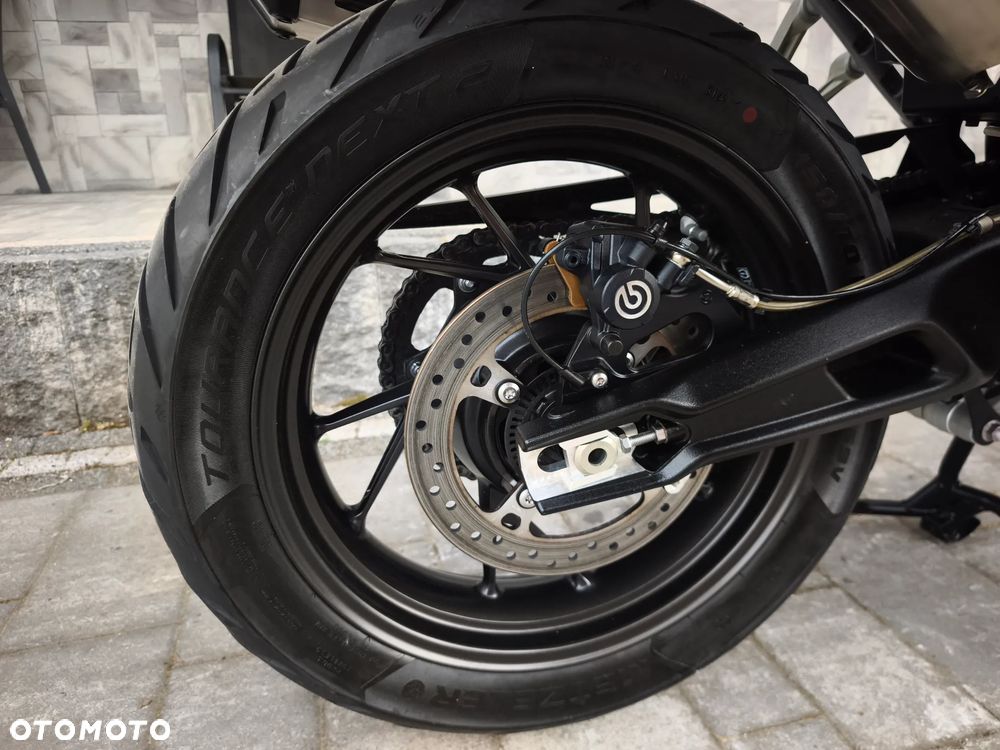 Triumph Tiger - 22