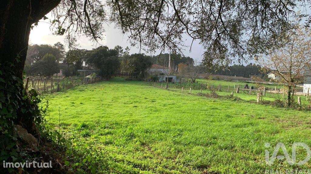 Terreno para construção em Mazedo e Cortes de 2600,00 m2 - Grande imagem: 2/9