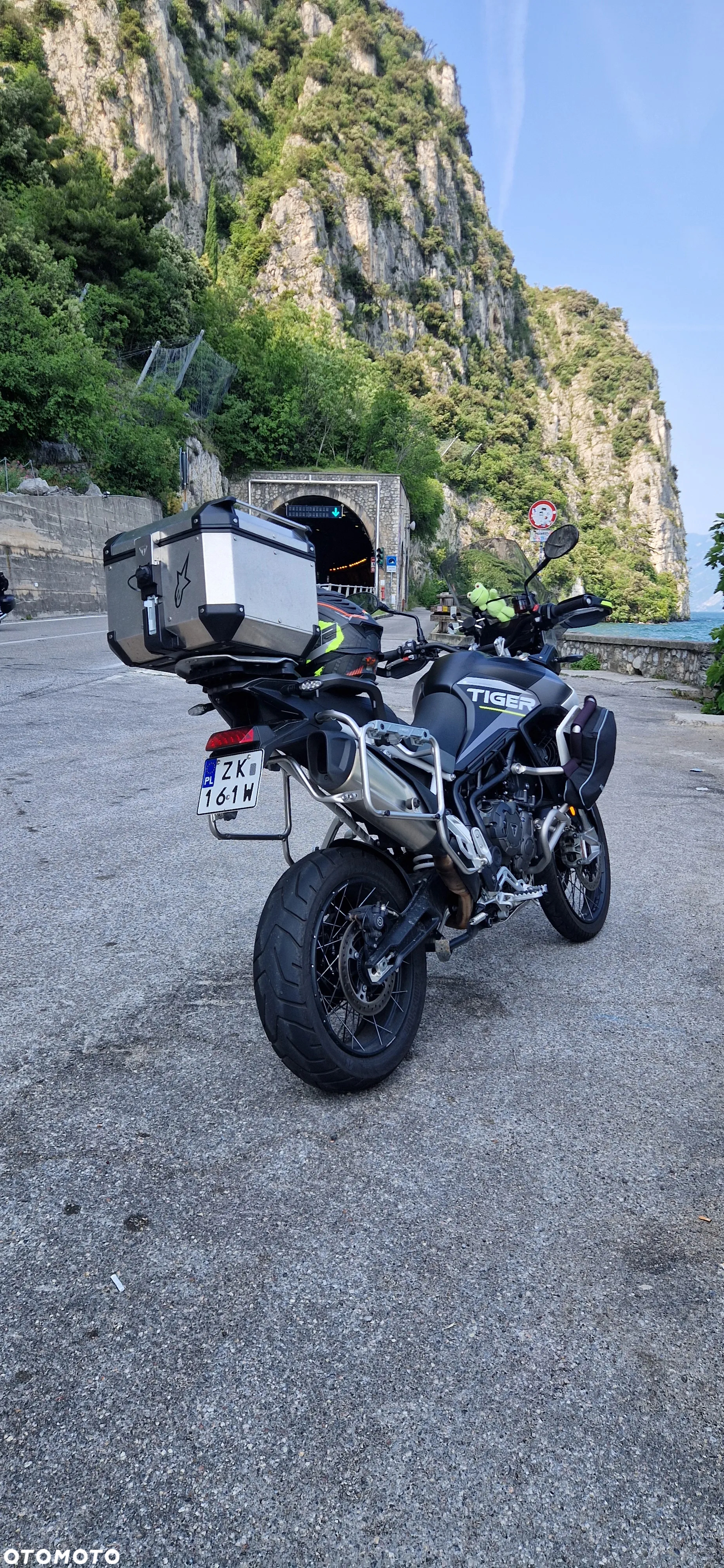Triumph Tiger - 19