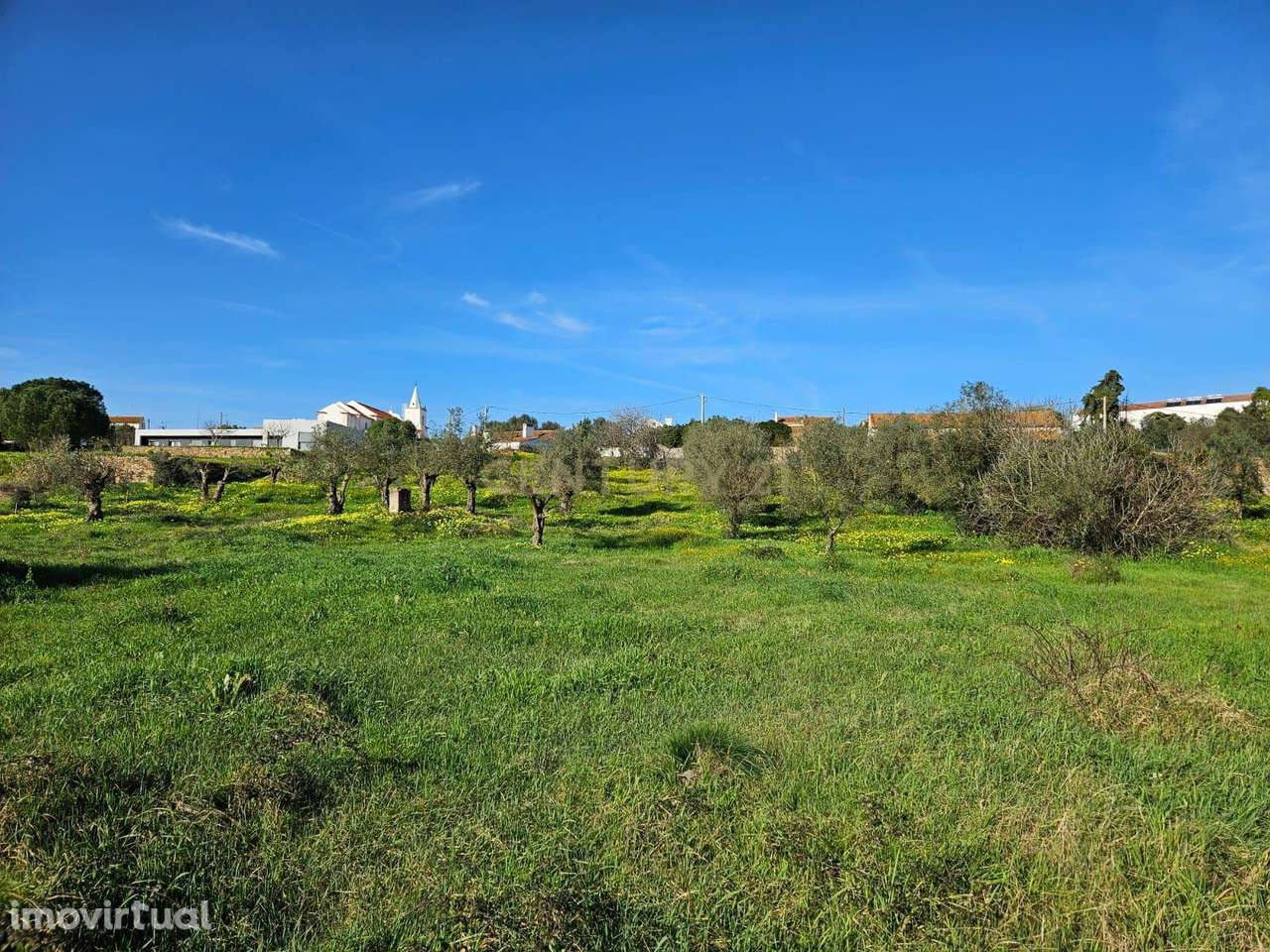 Terreno Rústico à Venda em Montalvo - Oportunidade Única - Grande imagem: 4/6