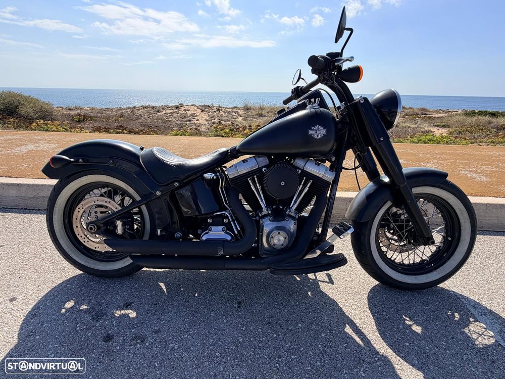 Harley-Davidson FLST SLIM (CUSTOM) - 2