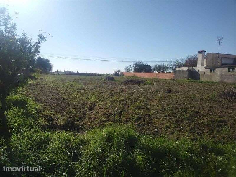 Terreno 1500 M2 - Cacia - Grande imagem: 3/3