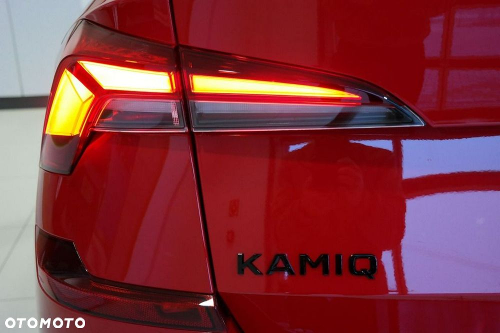 Skoda Kamiq - 10