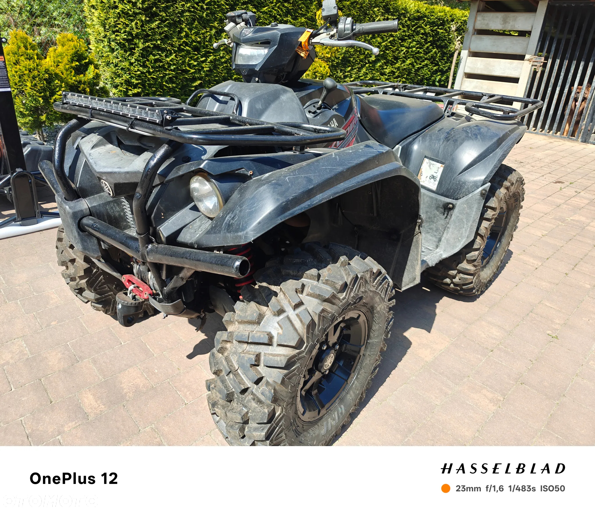 Yamaha Kodiak