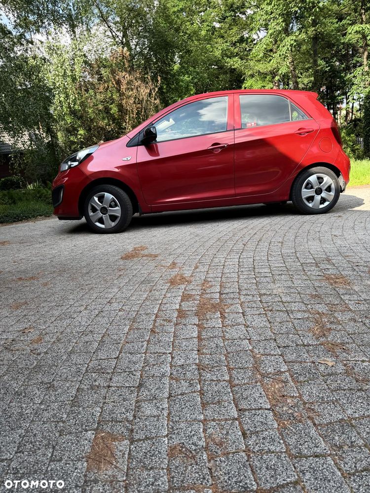 Kia Picanto 1.2 L - 19