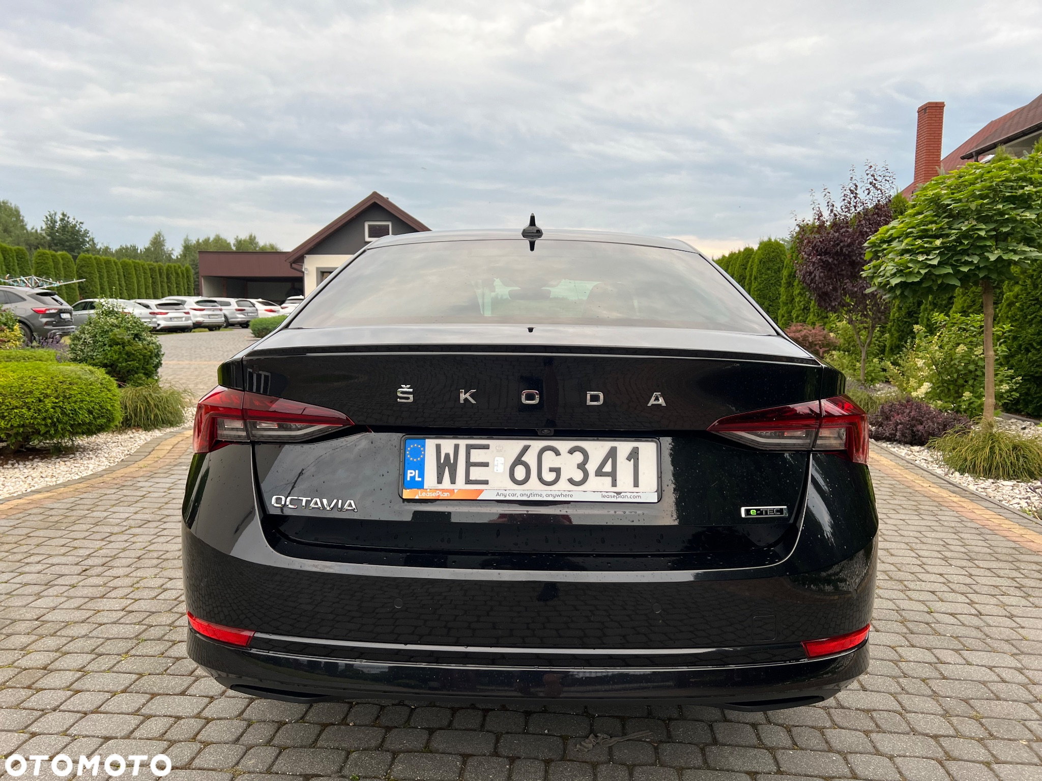 Skoda Octavia - 7