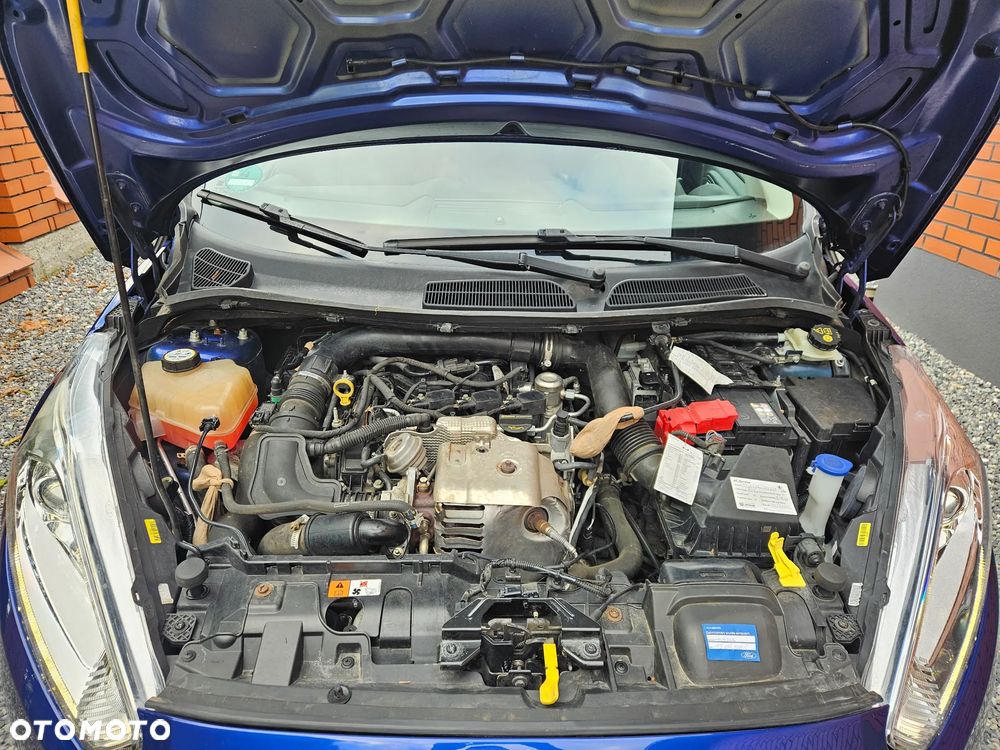Ford Fiesta - 11