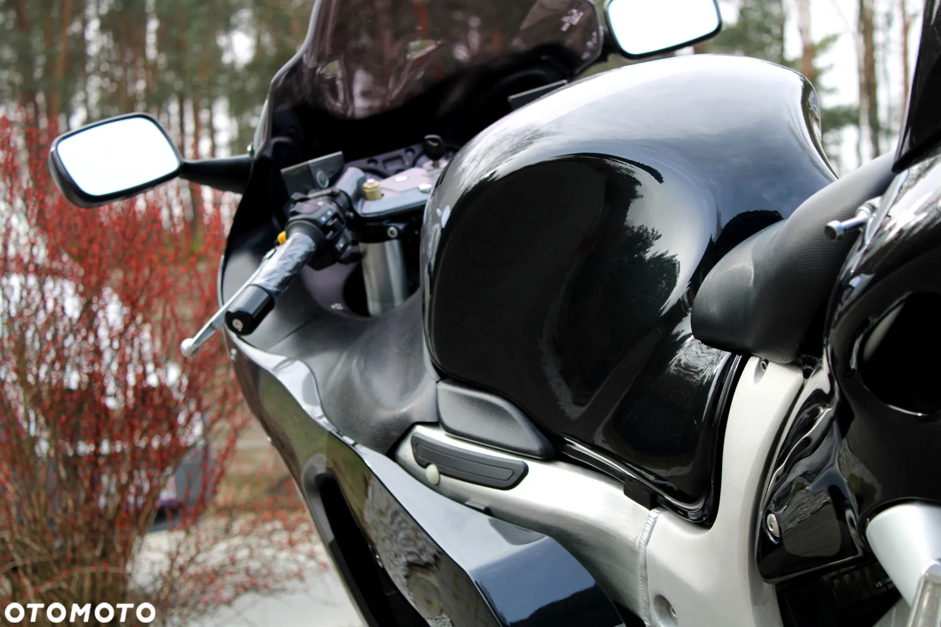 Suzuki Hayabusa - 4