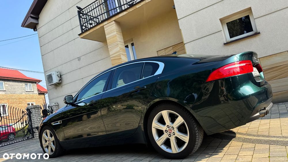 Jaguar XE - 5