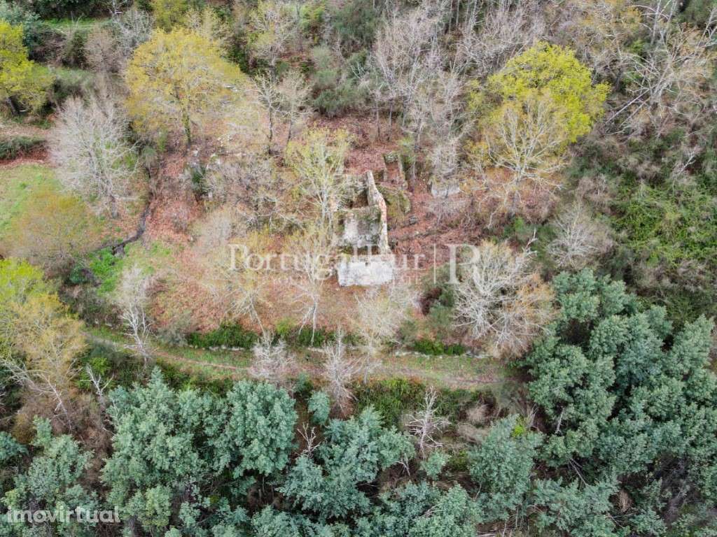 Quintinha confinante com o rio em Avô - Grande imagem: 4/35