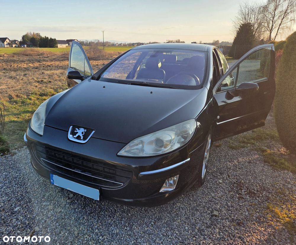 Peugeot 407 2.0 HDI ST Sport EU3 - 3