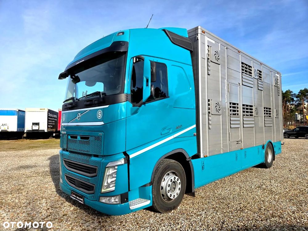 Volvo FH460 / DO PRZEWOZU ŻYWCA / BYDŁA / PLAVAC / 2 POKŁADY