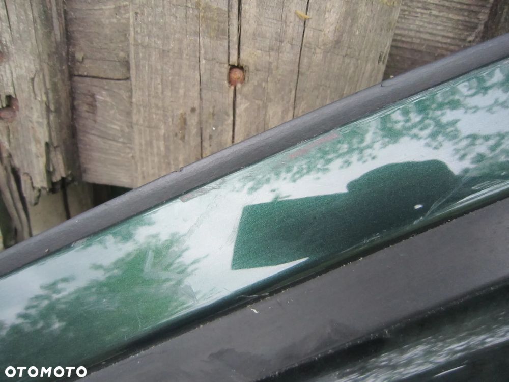Drzwi przód przednie lewe Nissan Pathfinder R51 DW0 - 3