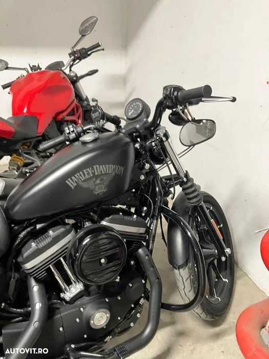 Harley-Davidson XL 883N Sportster Iron - 4