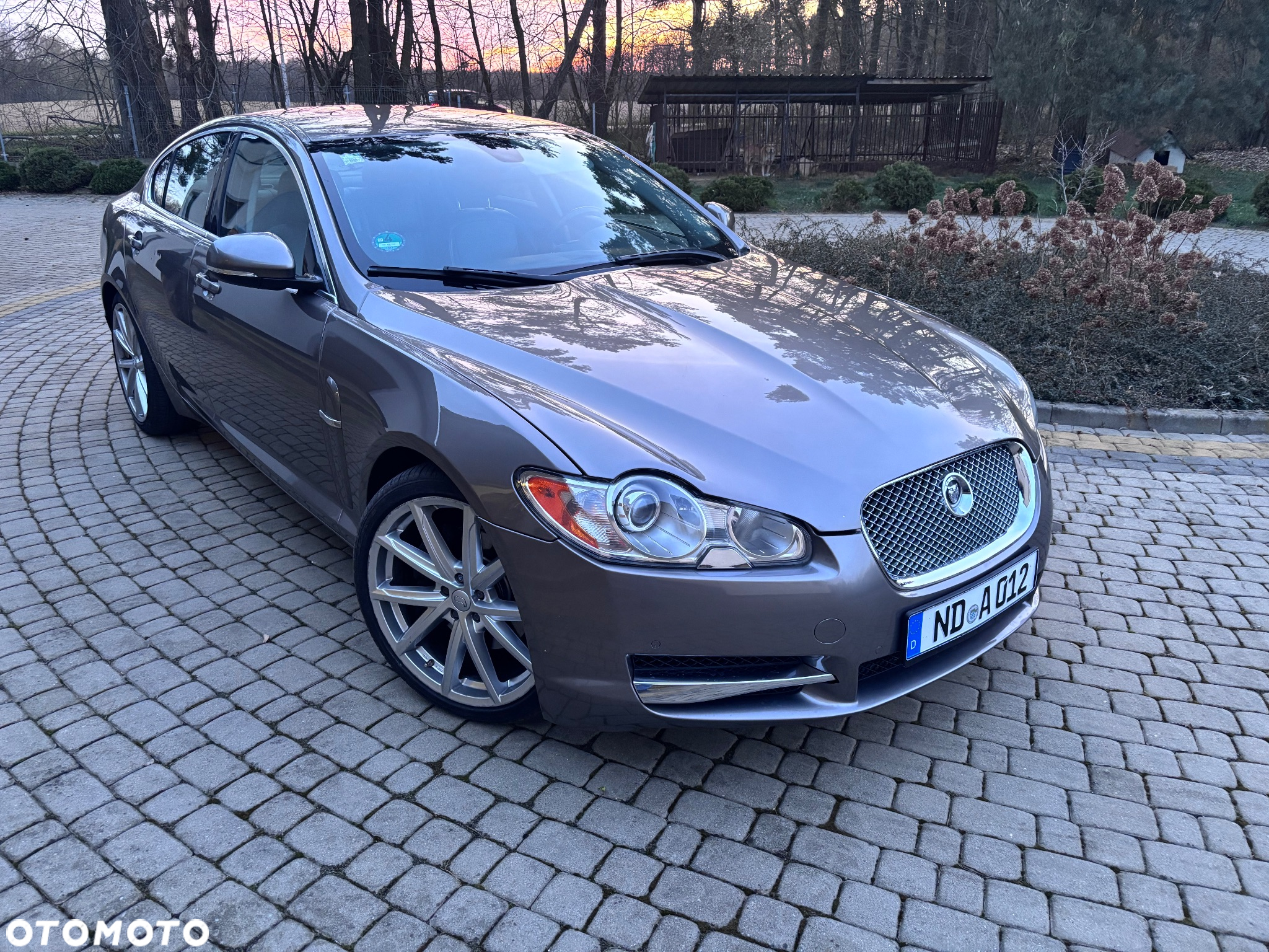 Jaguar XF 3.0 V6 D S Luxury - 19