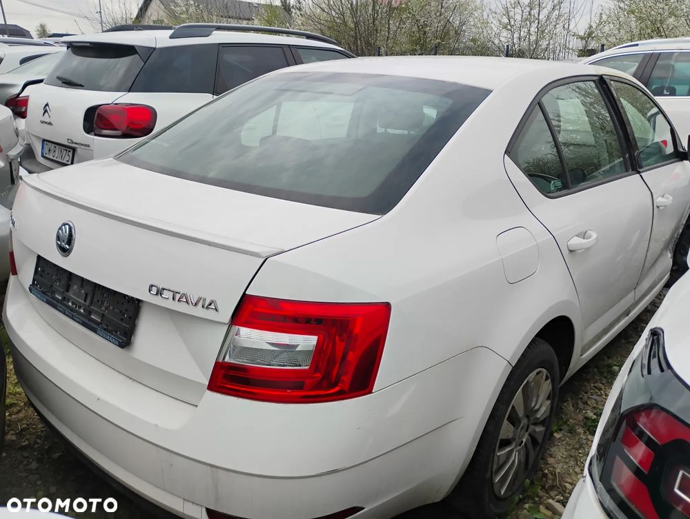 Skoda Octavia - 16