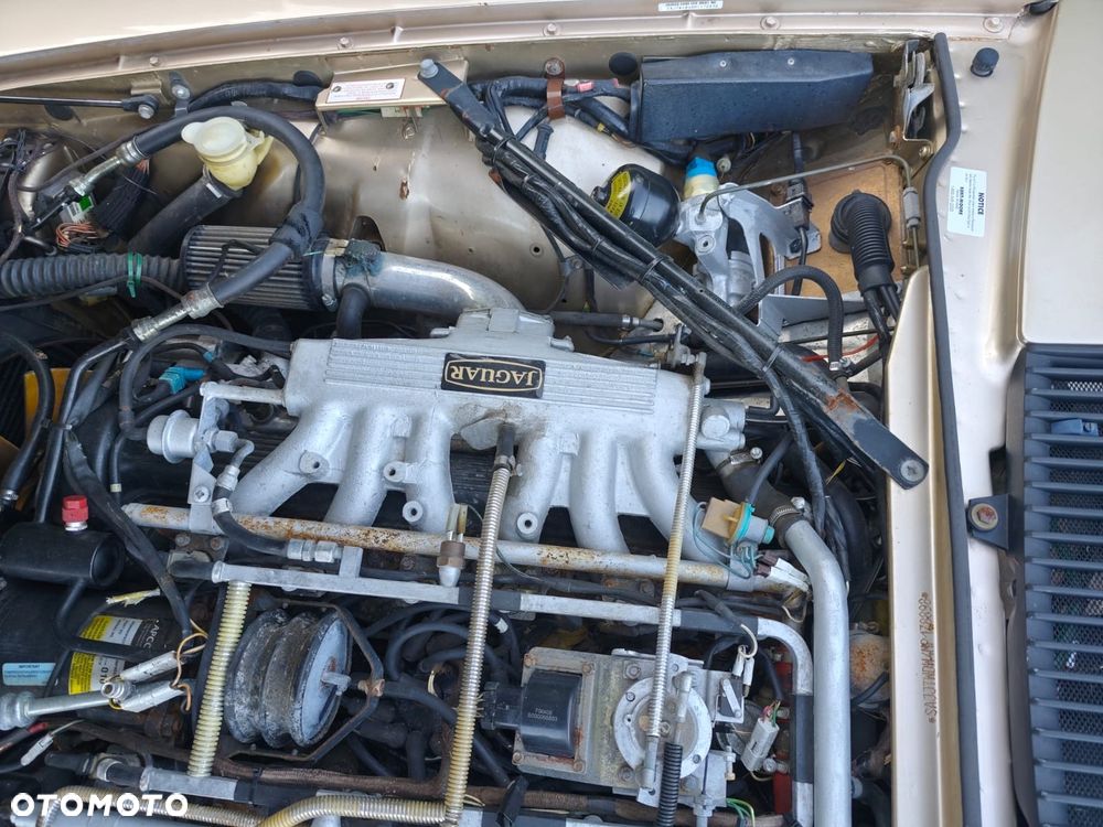 Jaguar XJS - 36