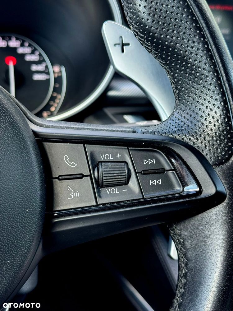 Alfa Romeo Stelvio 2.0 Turbo Veloce Q4 - 19