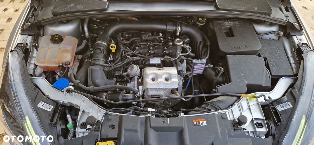 Ford Focus - 20