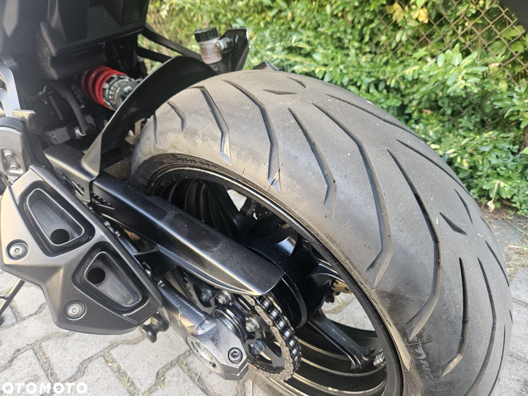 Suzuki Inny - 8
