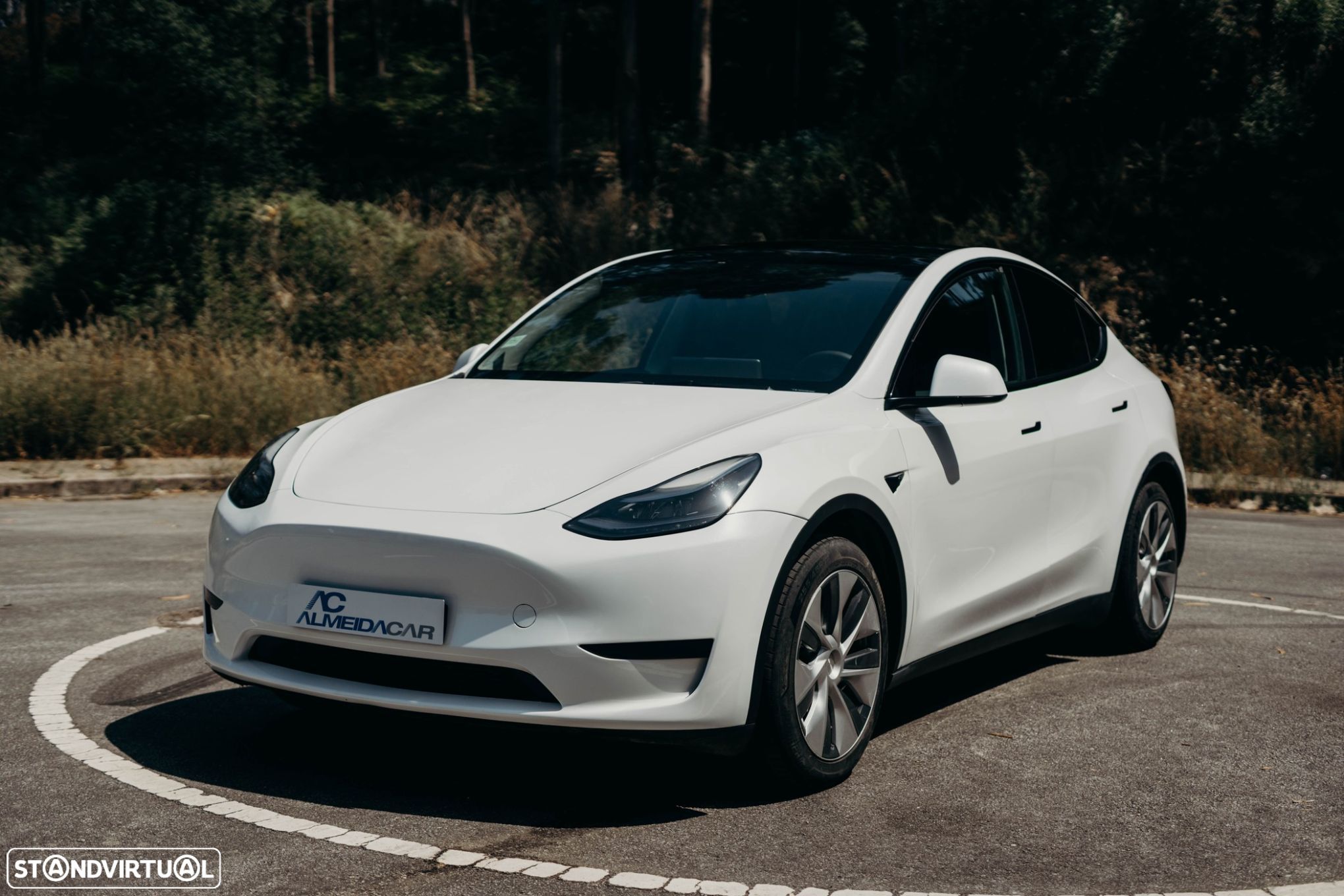 Tesla Model Y Tração Traseira - 1
