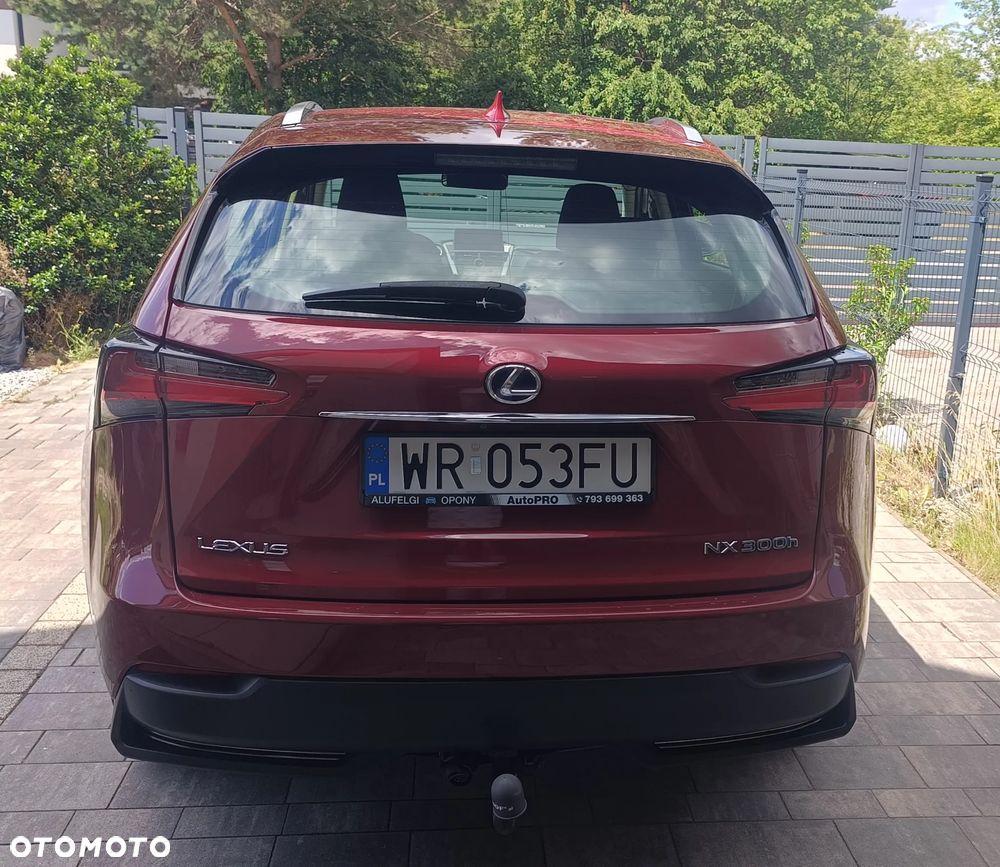 Lexus NX 300h Elite AWD - 10