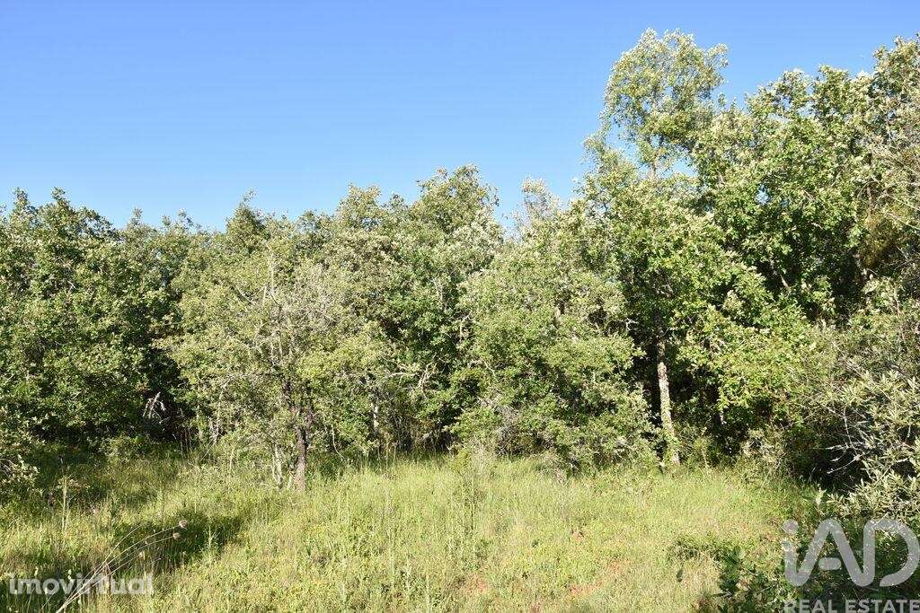 Terreno em Areias e Pias de 1440,00 m2 - Grande imagem: 3/29
