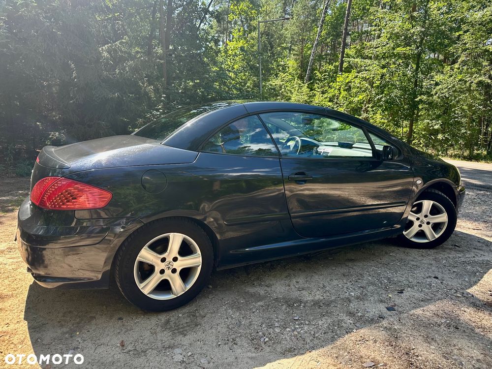 Peugeot 307 - 7
