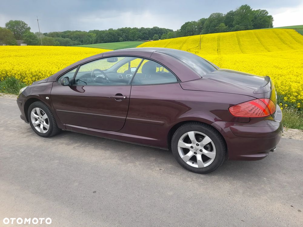 Peugeot 307 CC - 3