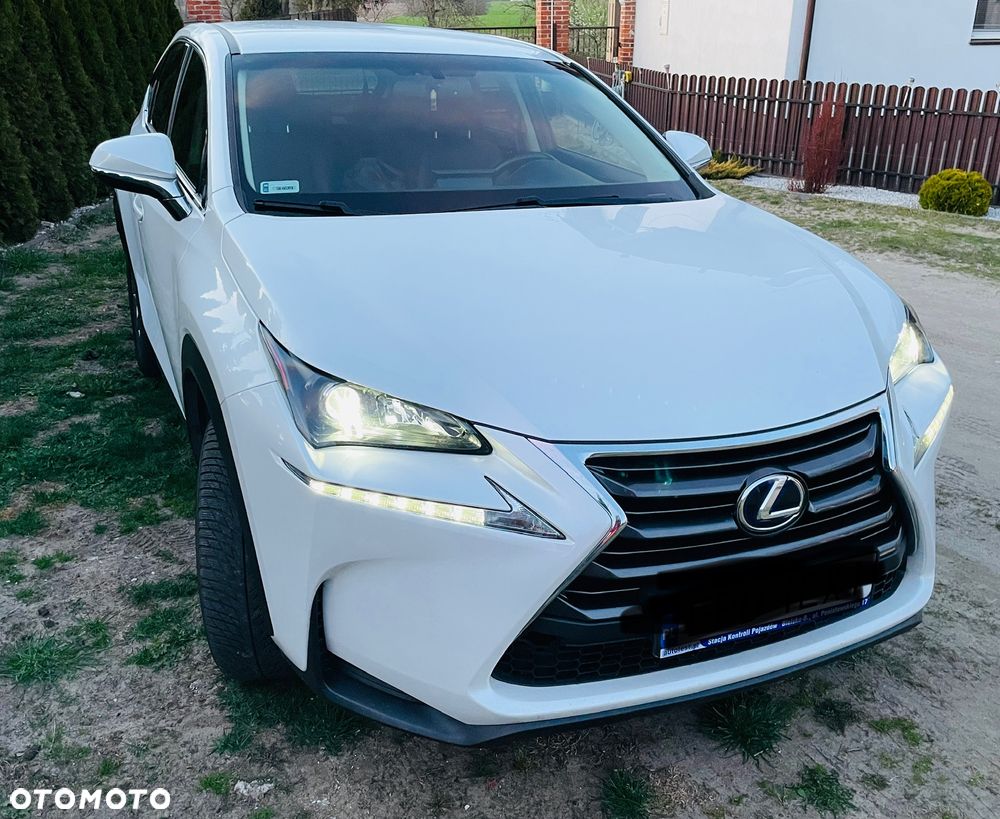 Lexus NX 300h Elegance 2WD - 4