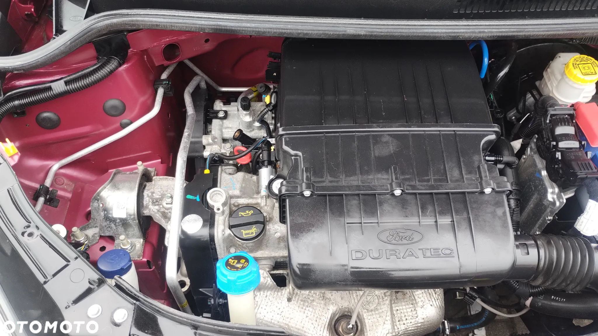 Ford KA 1.2 Start-Stopp-System Titanium - 15