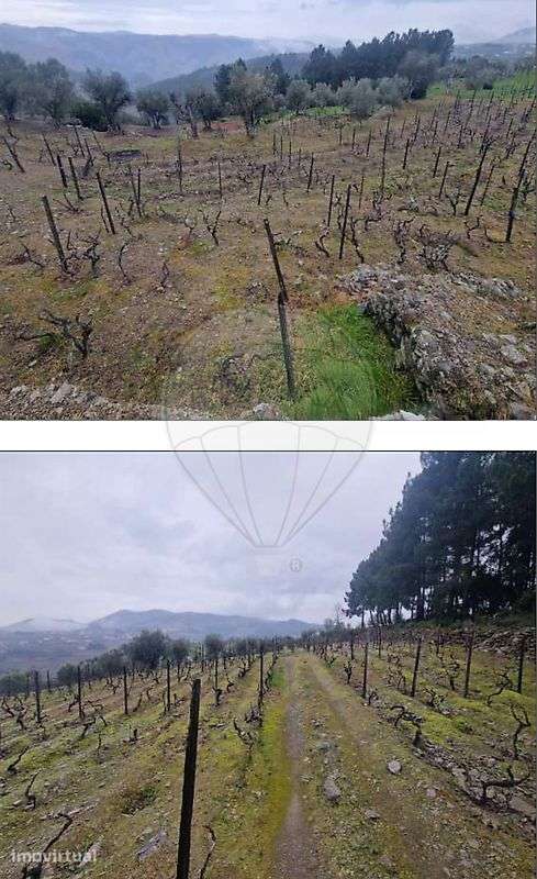 Terreno  para venda - Grande imagem: 4/4