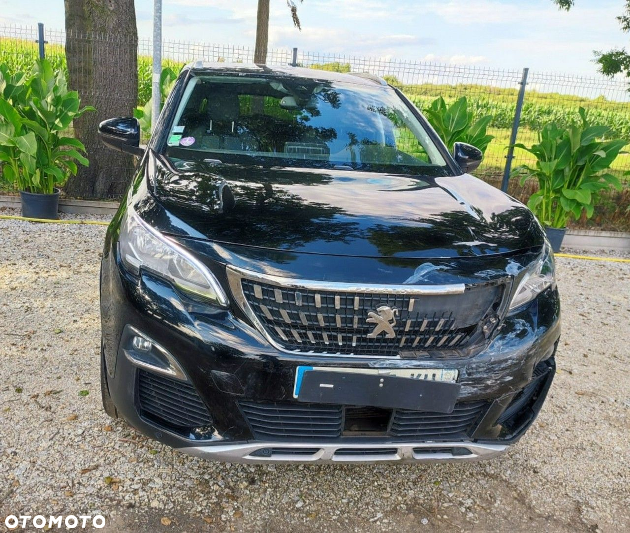 Peugeot 3008 - 16