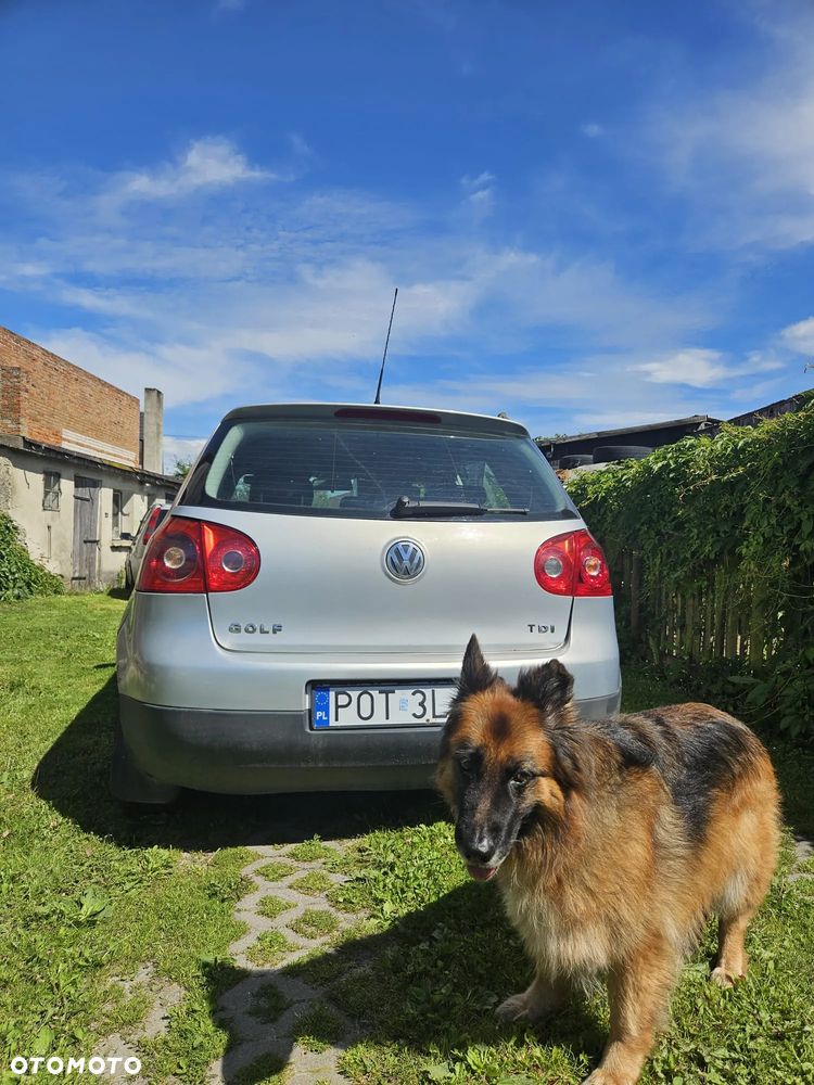 Volkswagen Golf 1.9 TDI Welcome - 5