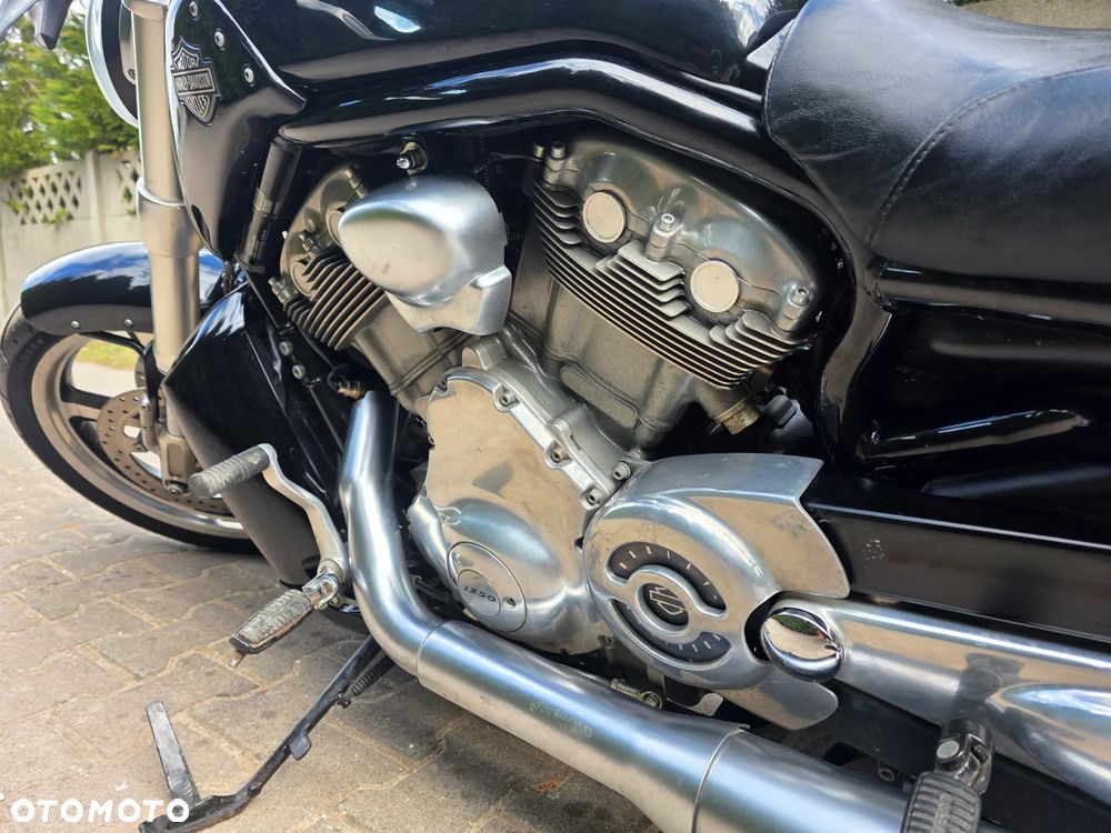 Harley-Davidson V-Rod Muscle - 29